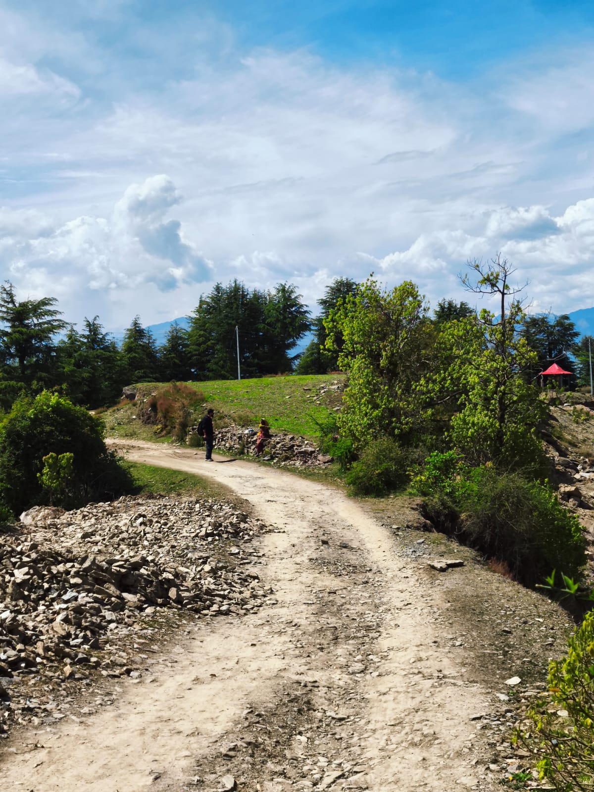 Village footpath through pine grove leading to orchards in Borkha — Dwat Mahadev Valley