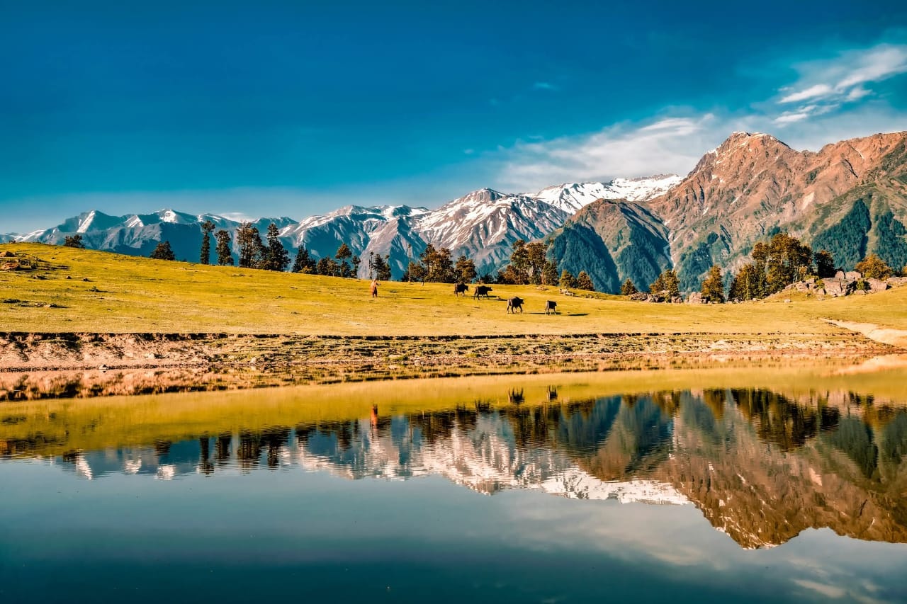 Mirror reflection of snow peaks in a high-altitude meadow lake with grazing cattle in Saal Valley, Chamba