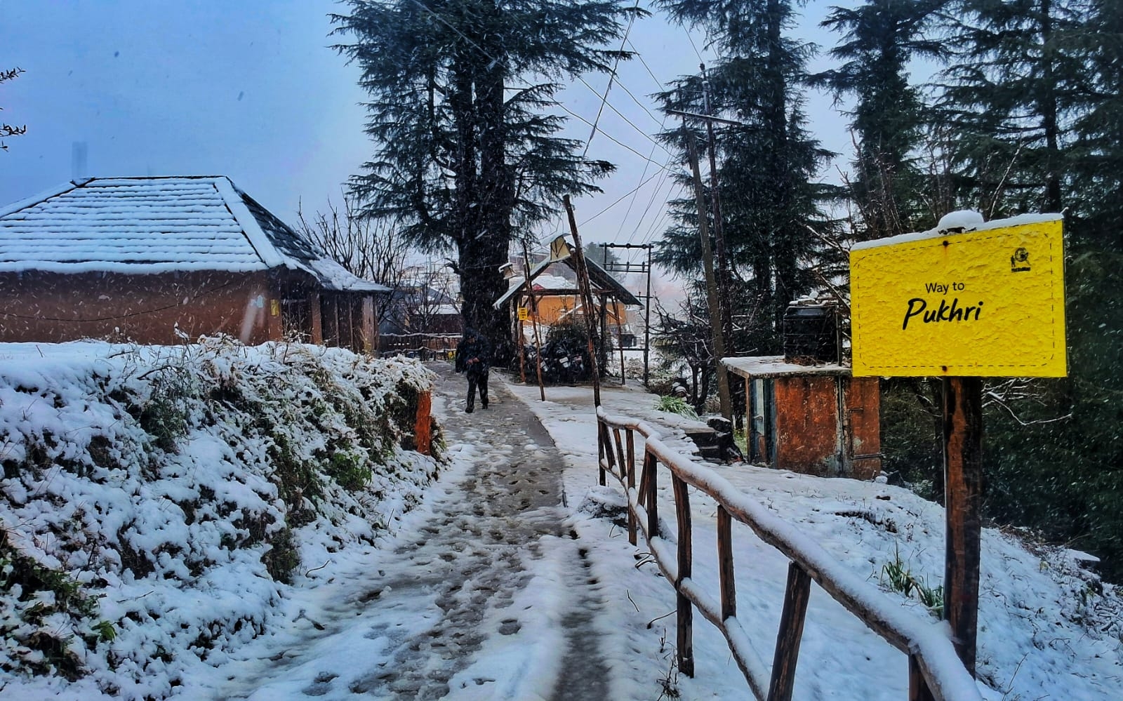 Snowfall on the path to Pukhri village with a slate-roof Gaddi house and deodars, Khajjiar cluster, Chamba