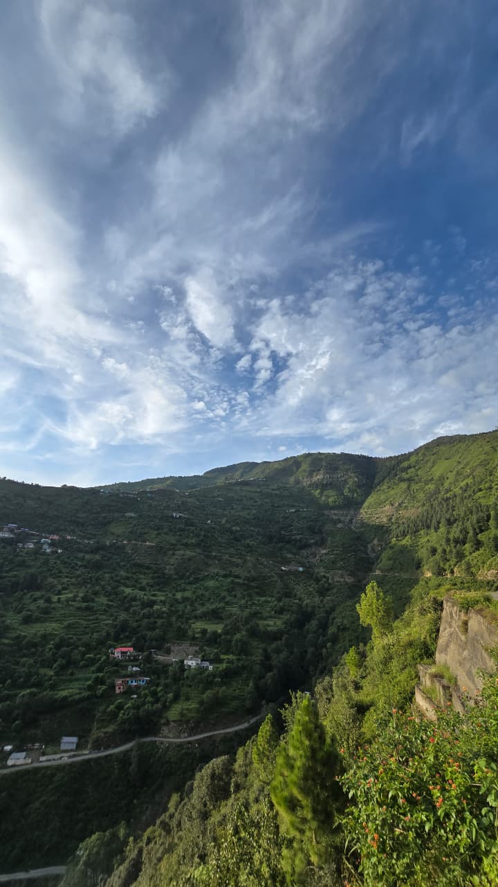 Deodar forest canopy above the Dwat Mahadev Valley with glimpses of village roofs below, Chamba