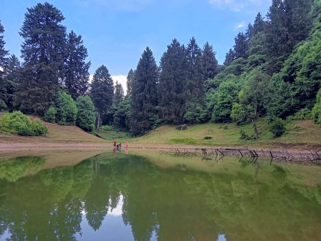 Hidden forest lake mirror reflection in Saal Valley deodar grove, Chamba