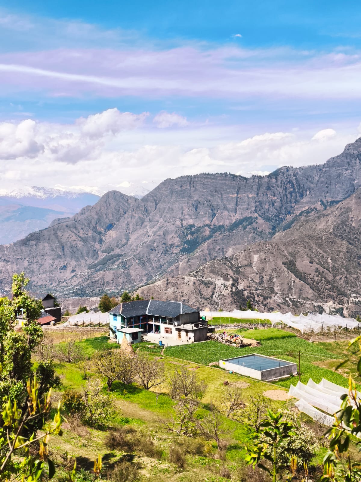 Traditional Gaddi family home with private apple orchard — Dwat Mahadev luxury homestay, Chamba