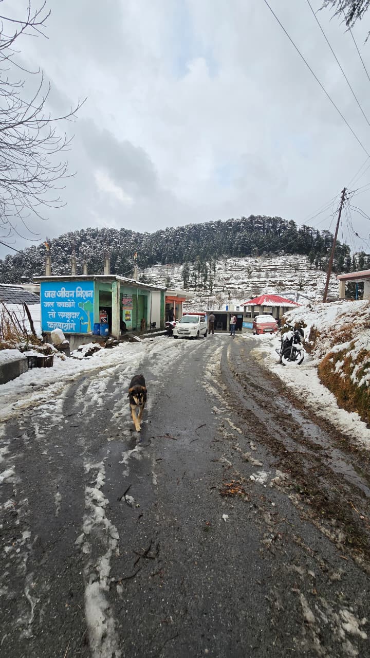 Snow-dusted village road into Borkha after fresh snowfall with deodar ridgeline above — Dwat Mahadev Valley winter, Chamba