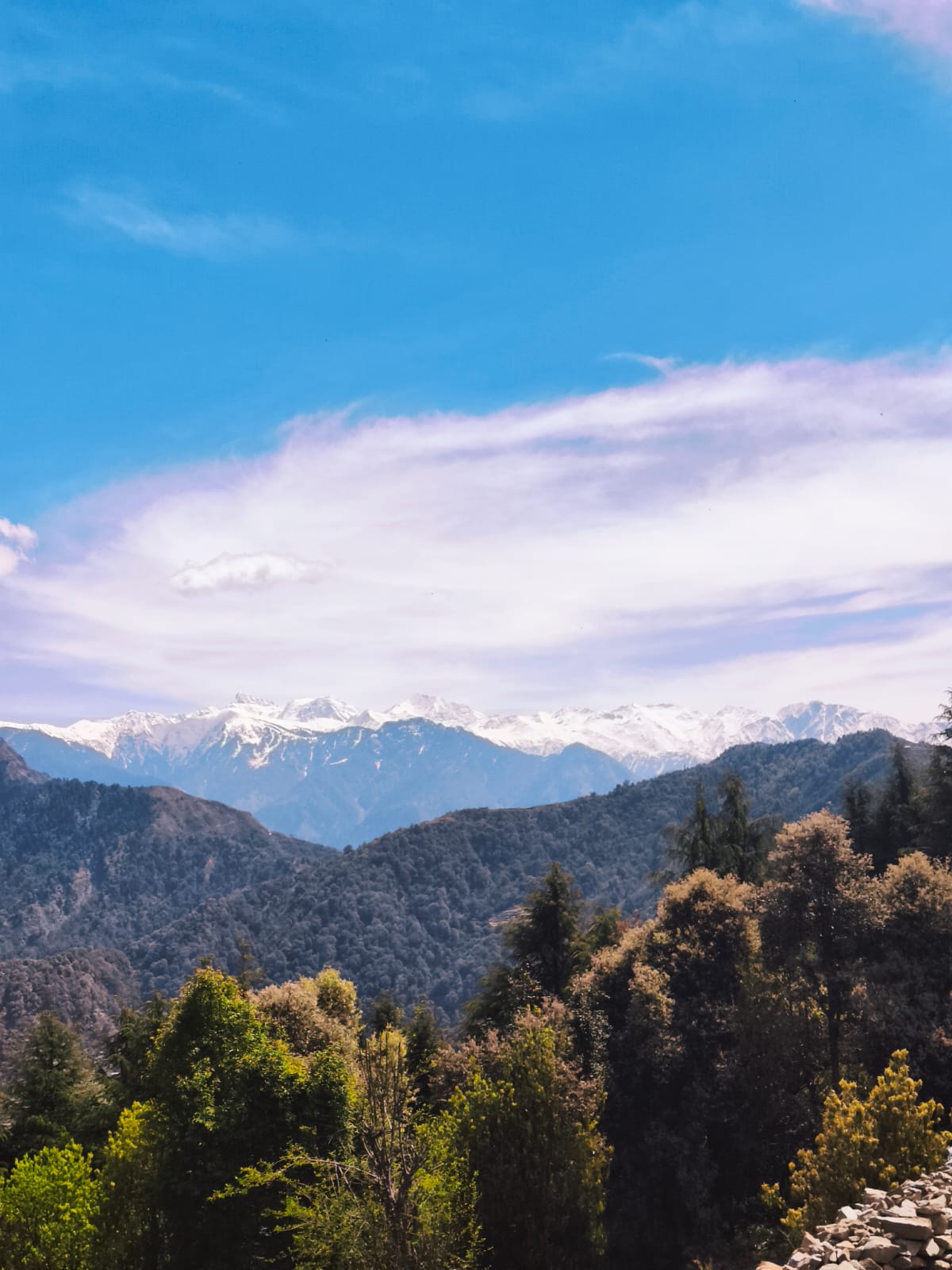Snow-capped Dhauladhar peaks above ancient deodar forest — Dwat Mahadev Valley Himalayan view