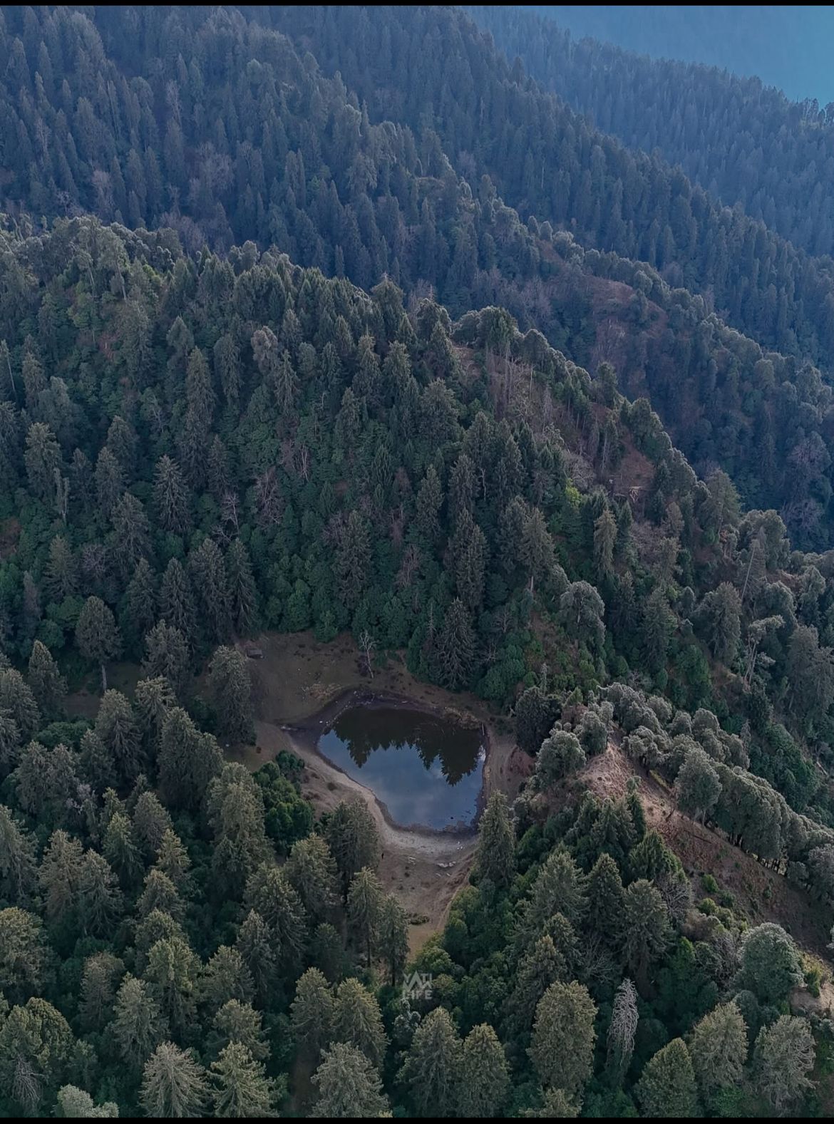 Aerial view of a hidden forest pond cradled by dense deodar forest in Saal Valley, Chamba