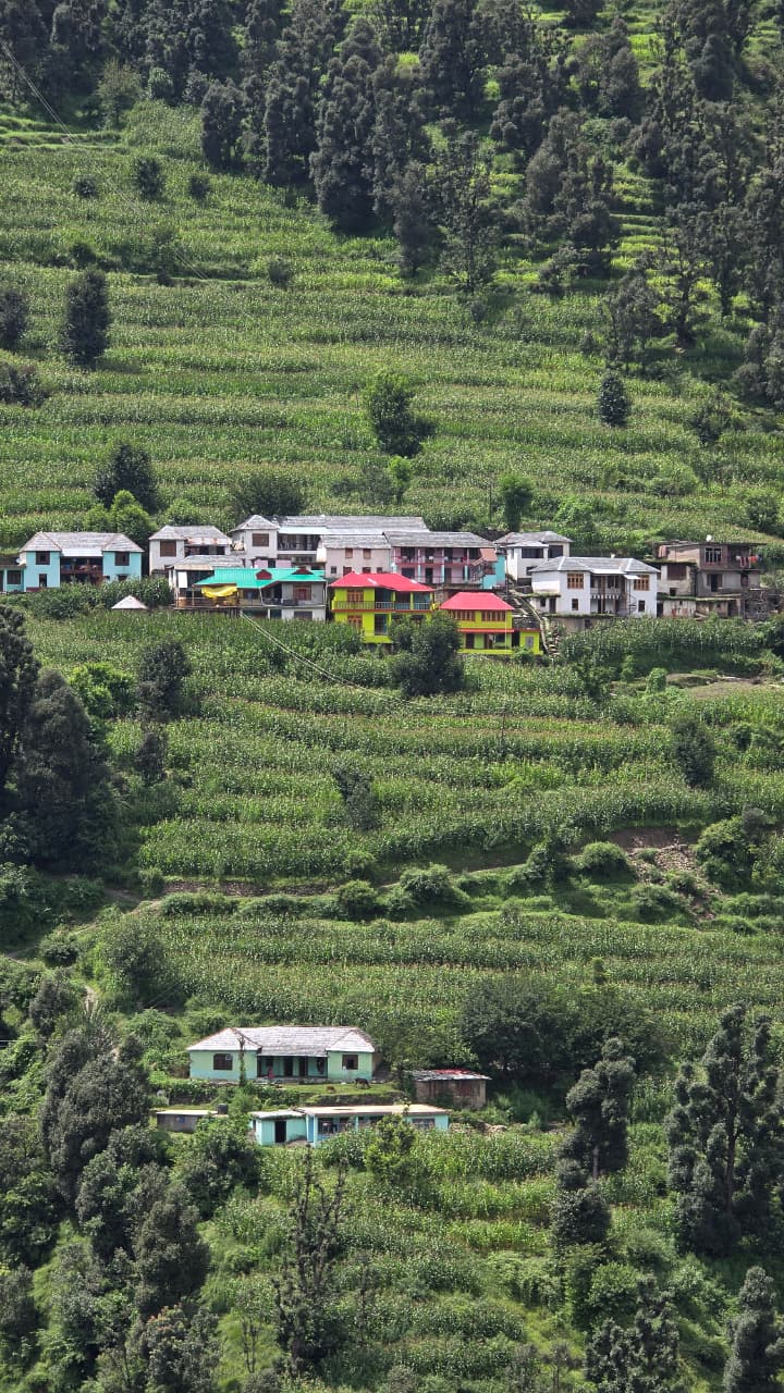 Bright Gaddi homes set among terraced maize fields on a verdant Himalayan slope — Dwat Mahadev Valley, Chamba